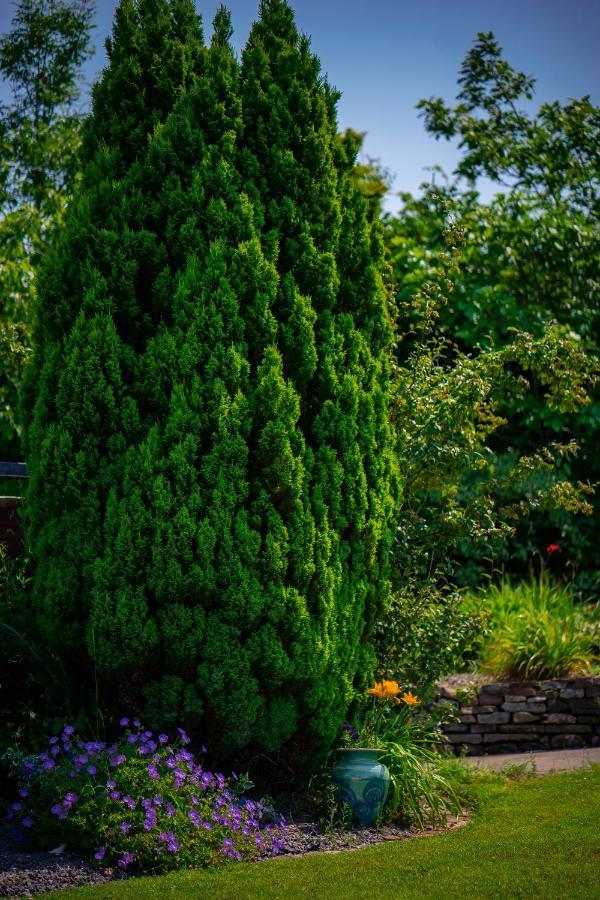 Bed & Breakfast Park Abbeyfeale